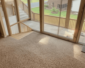 Best carpet cleaning