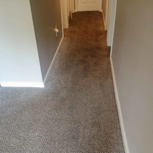Carpet with high traffic